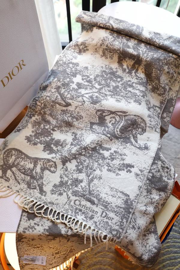 Dior Scarf DIC00372