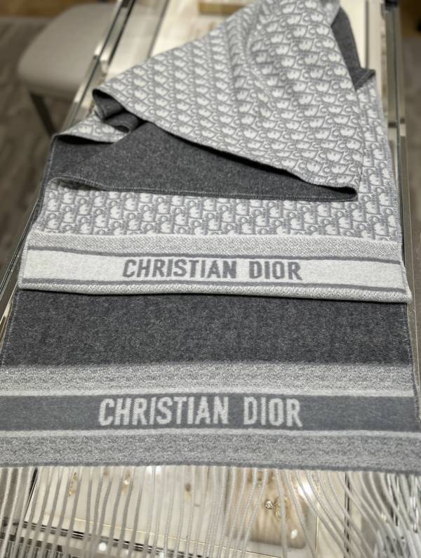 Dior Scarf DIC00375