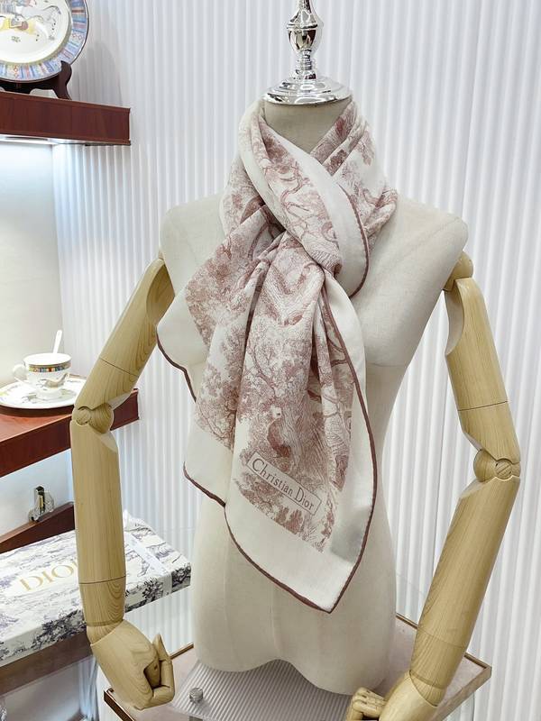 Dior Scarf DIC00376