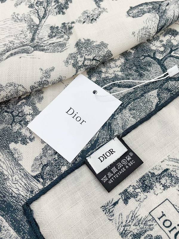 Dior Scarf DIC00378