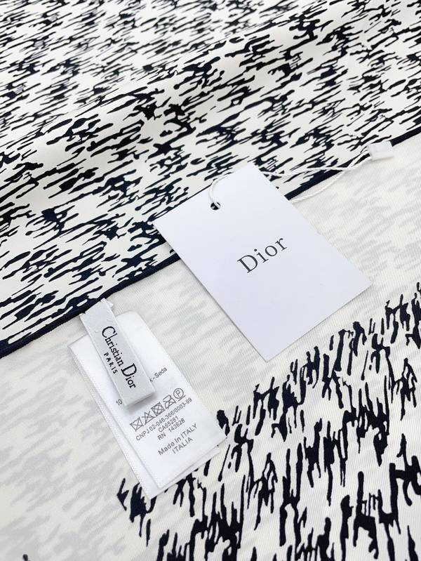 Dior Scarf DIC00401