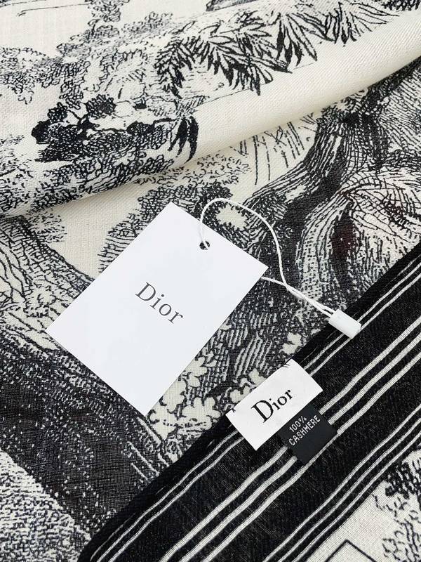 Dior Scarf DIC00434