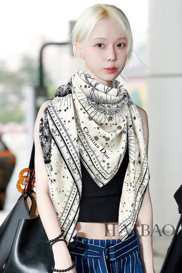 Dior Scarf DIC00450