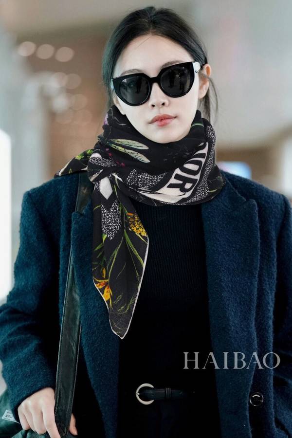 Dior Scarf DIC00463