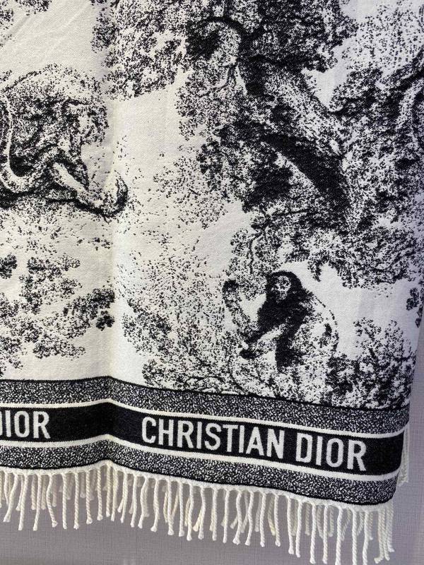 Dior Scarf DIC00476