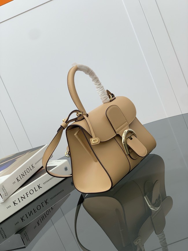 Delvaux Calfskin Leather Tote Bag 17856 Apricot