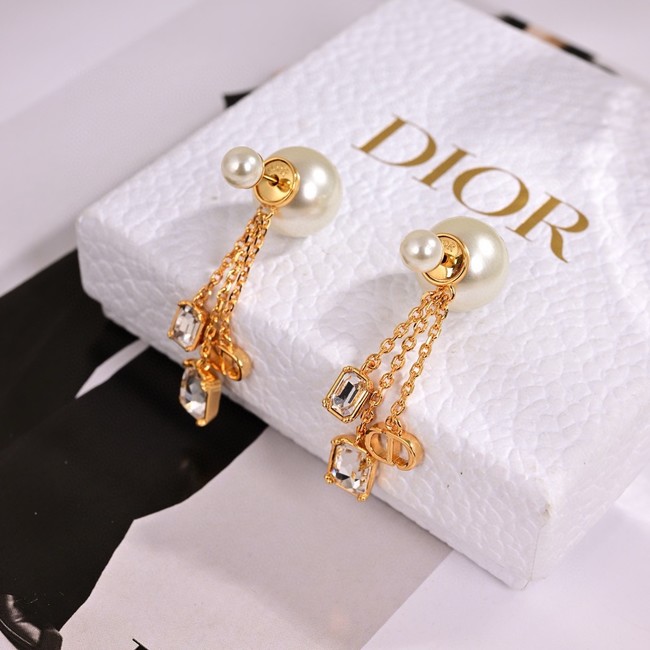 Dior Earrings CE15391