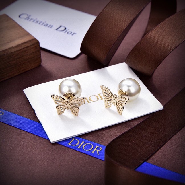 Dior Earrings CE15421