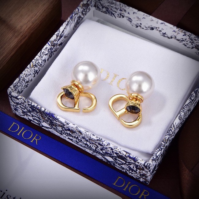 Dior Earrings CE15423