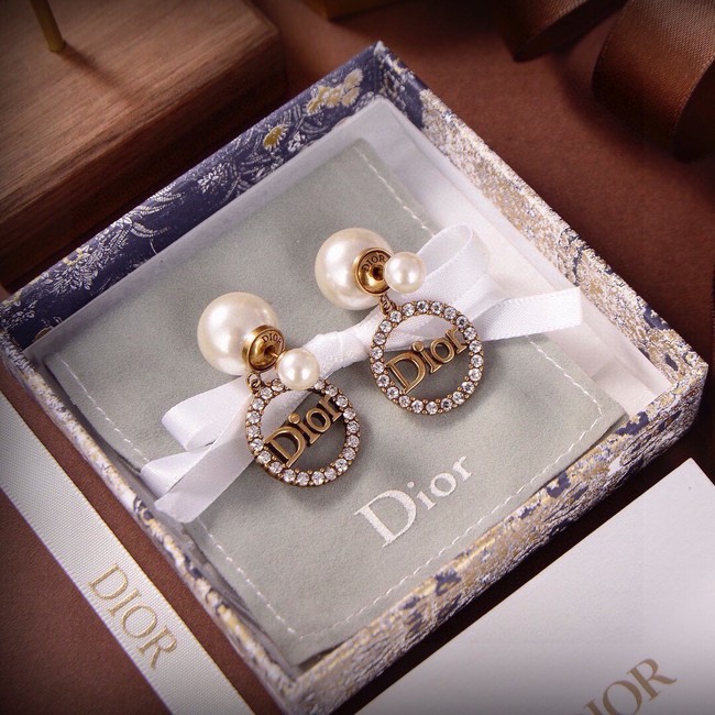 Dior Earrings CE15499