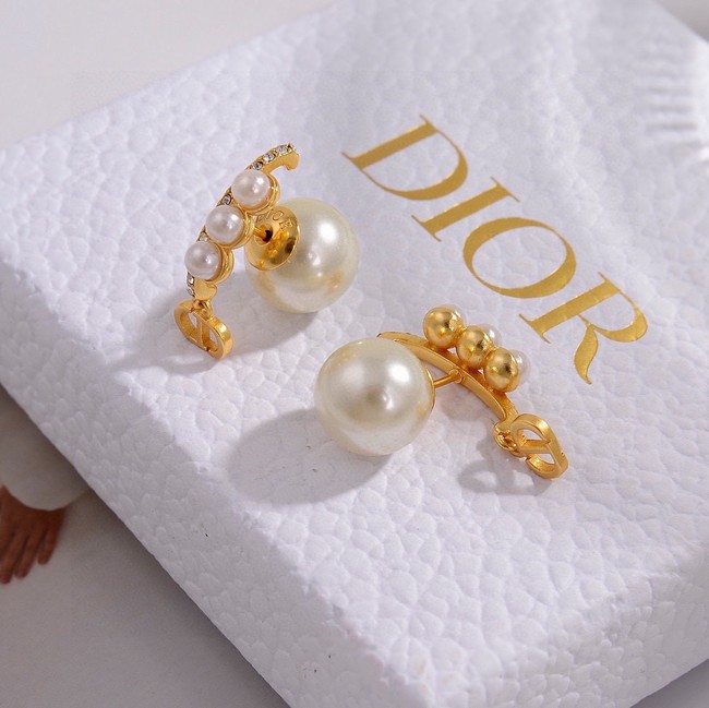 Dior Earrings CE15501