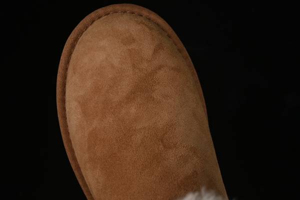 UGG Shoes UGS00044