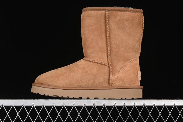 UGG Shoes UGS00170