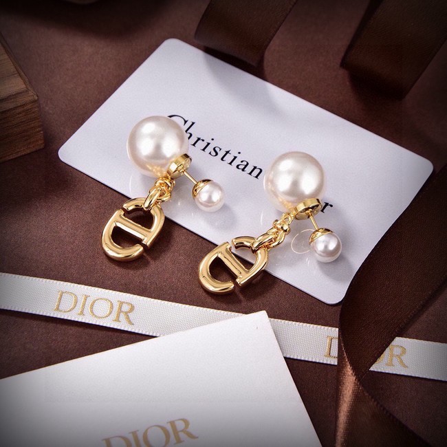 Dior Earrings CE15575