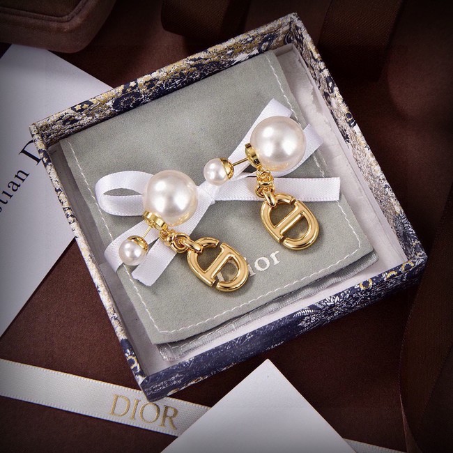 Dior Earrings CE15575