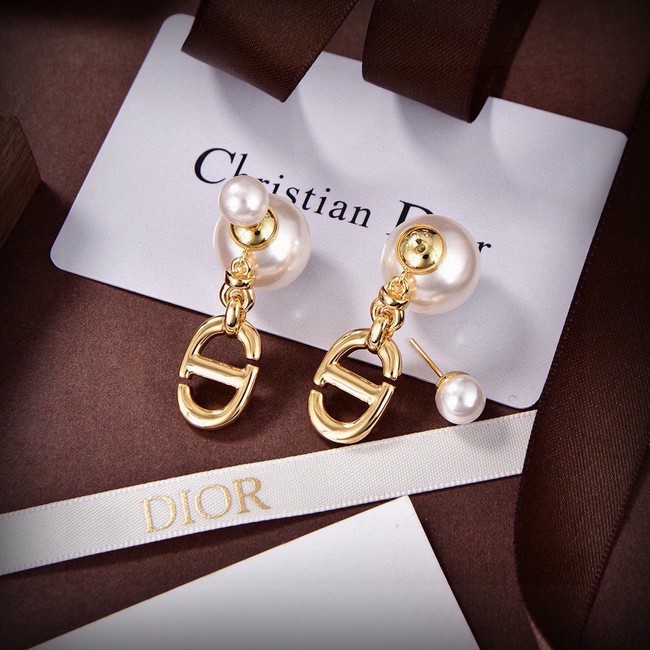 Dior Earrings CE15575