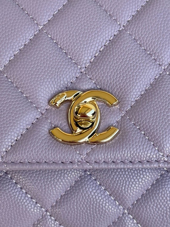 Chanel FLAP BAG WITH TOP HANDLE A92990 purple