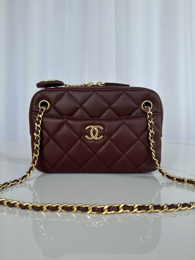 Chanel MINI CAMERA CASE AS5190 Dark Brown