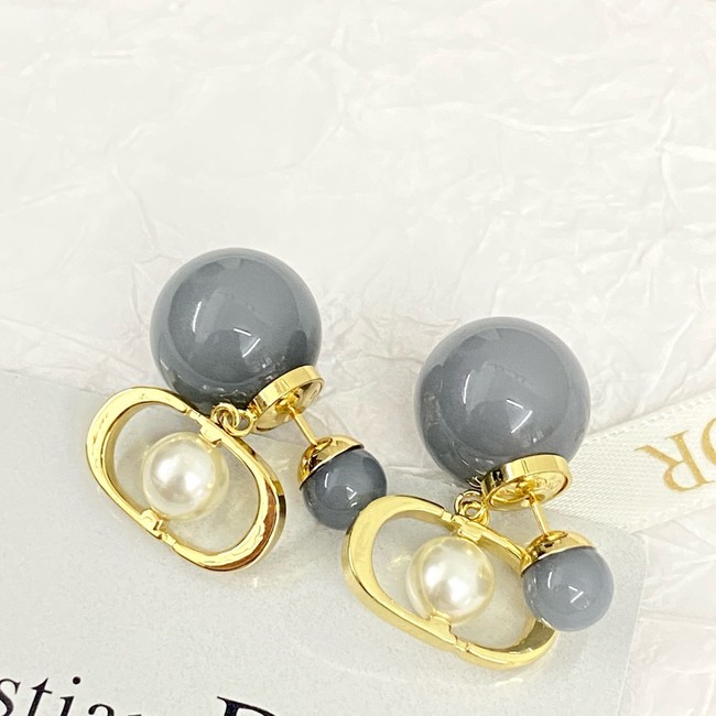 Dior Earrings CE15618