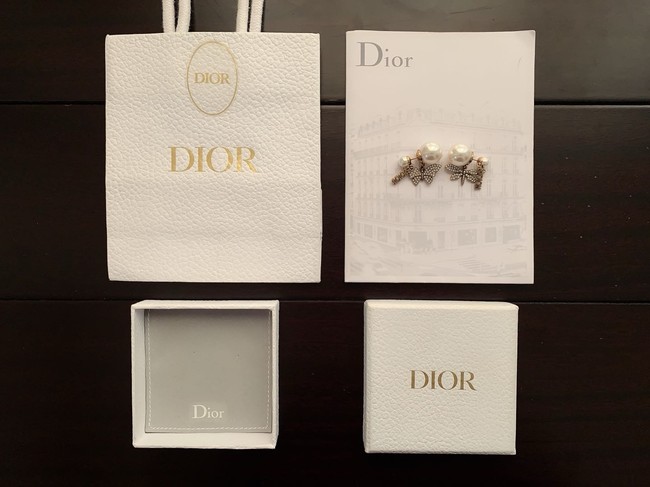 Dior Earrings CE15722