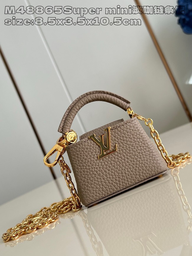 Louis Vuitton Capucines NANO M48865 gray