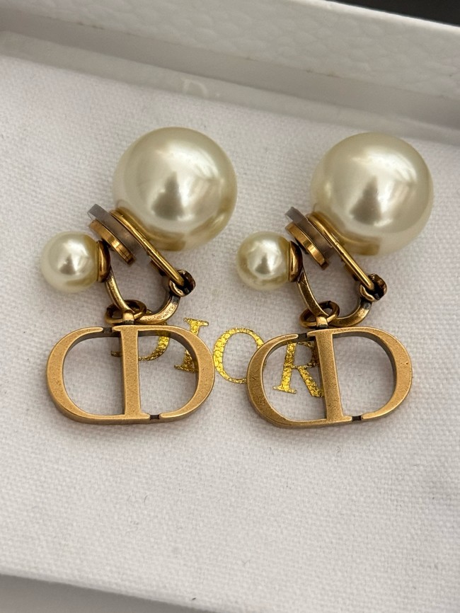 Dior Earrings CE15727