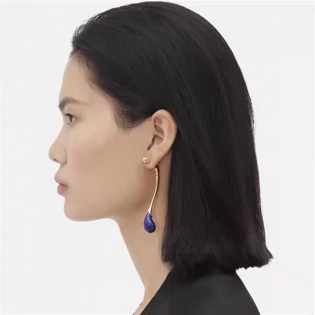 Bottega Veneta Earrings CE15751