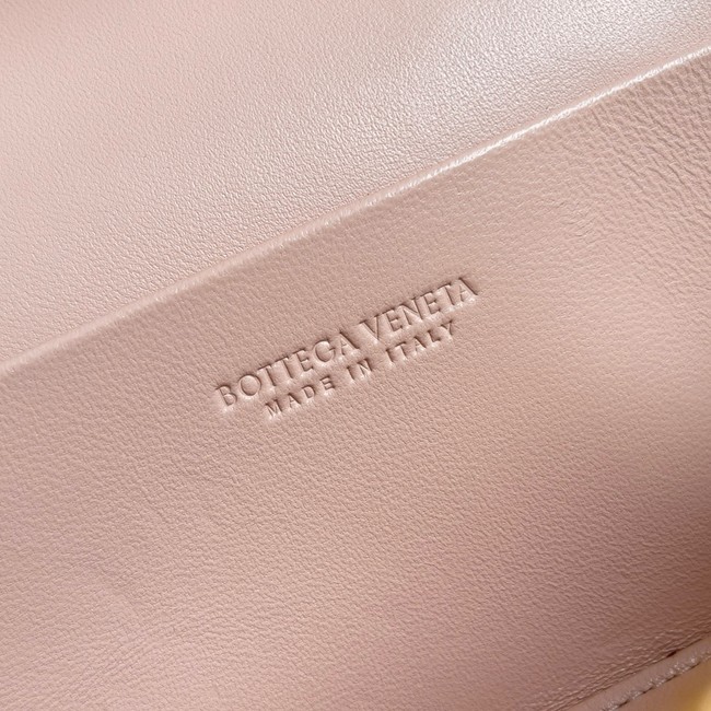 Bottega Veneta Vanity Case On Strap 789109 pink