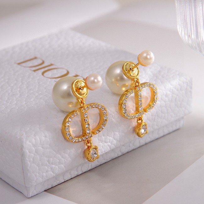 Dior Earring CE15799