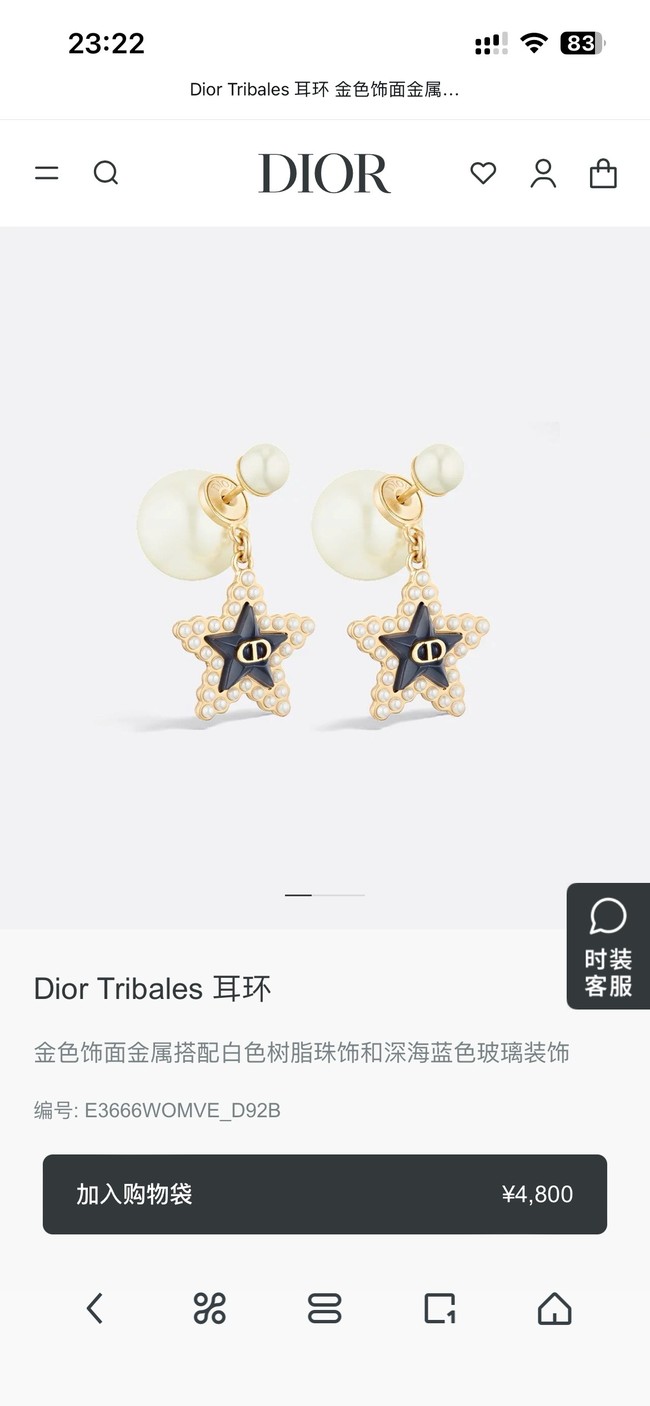 Dior Earring CE15818