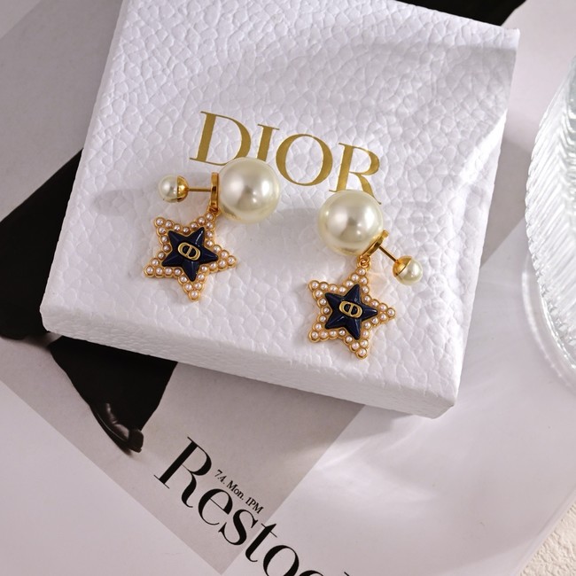 Dior Earring CE15818