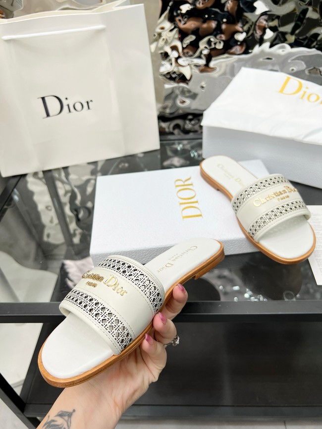 Dior shoes 55756-2