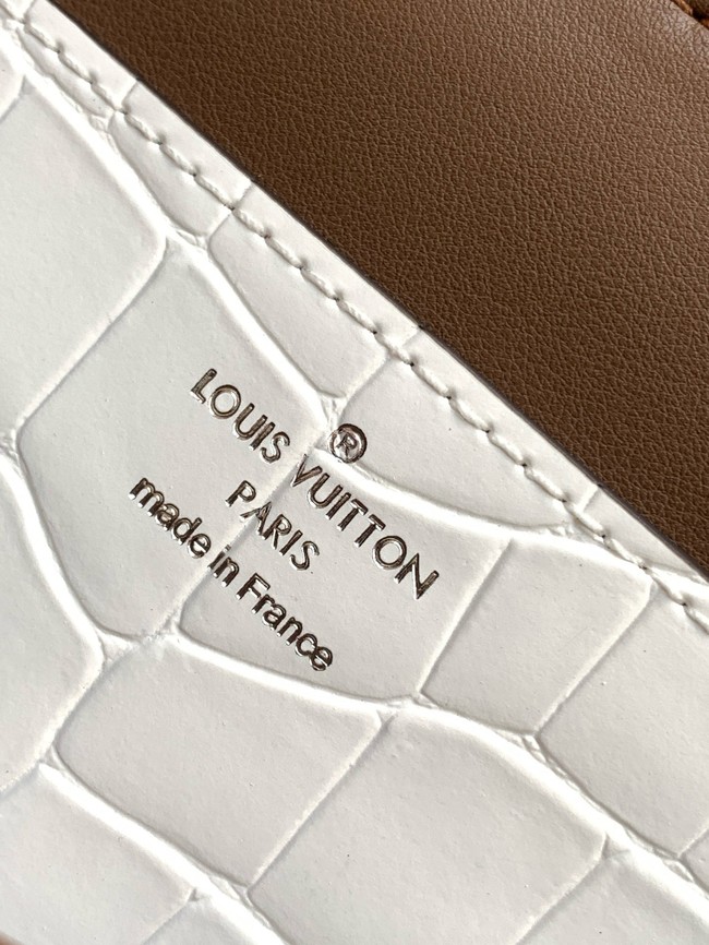 Louis Vuitton Original Leather M84713 white&silver