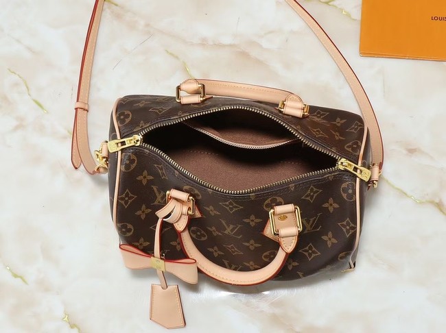 Louis Vuitton LV x TM Speedy Bandouliere 25 M13805