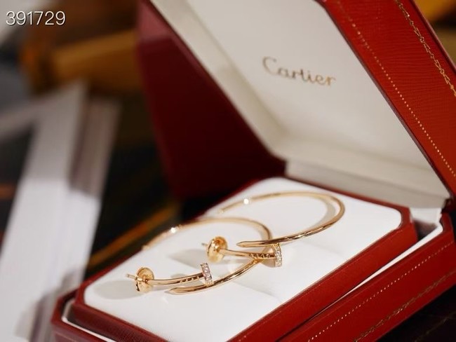 Cartier Earring CE16130