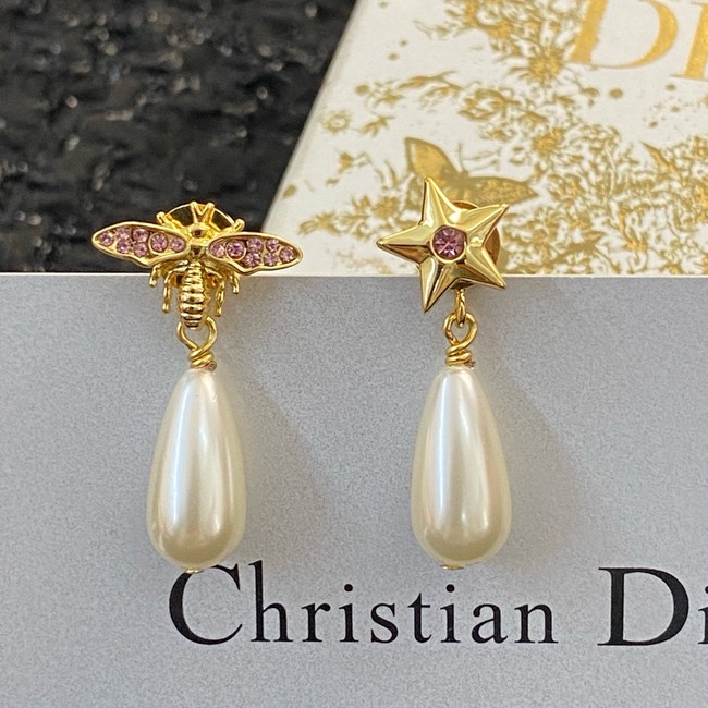 Dior Earring CE16250