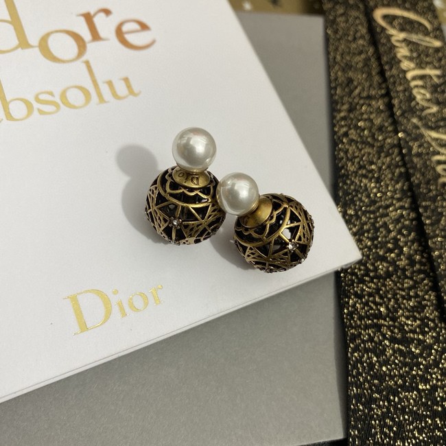 Dior Earring CE16310