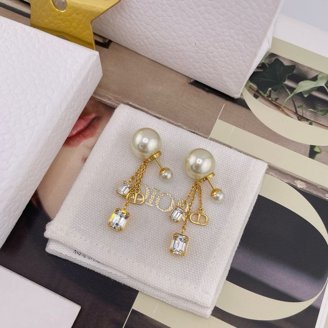 Dior Earring CE16364