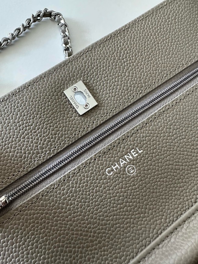 Chanel Classic Wallet On Chain Lambskin AP4241-12