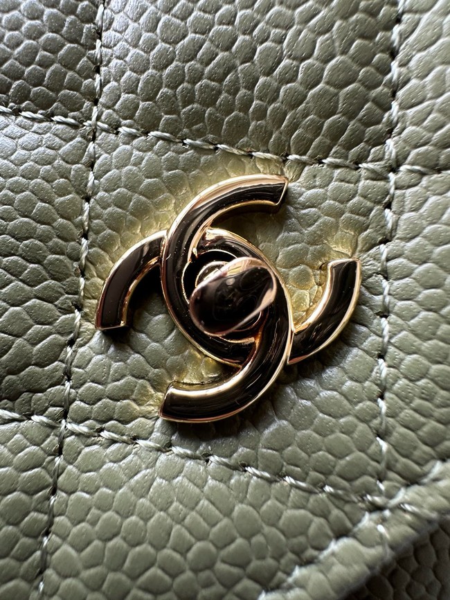 Chanel Classic Wallet On Chain Lambskin AP4241-3