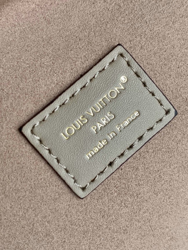 Louis Vuitton NEW Avenue MM M25575 gray