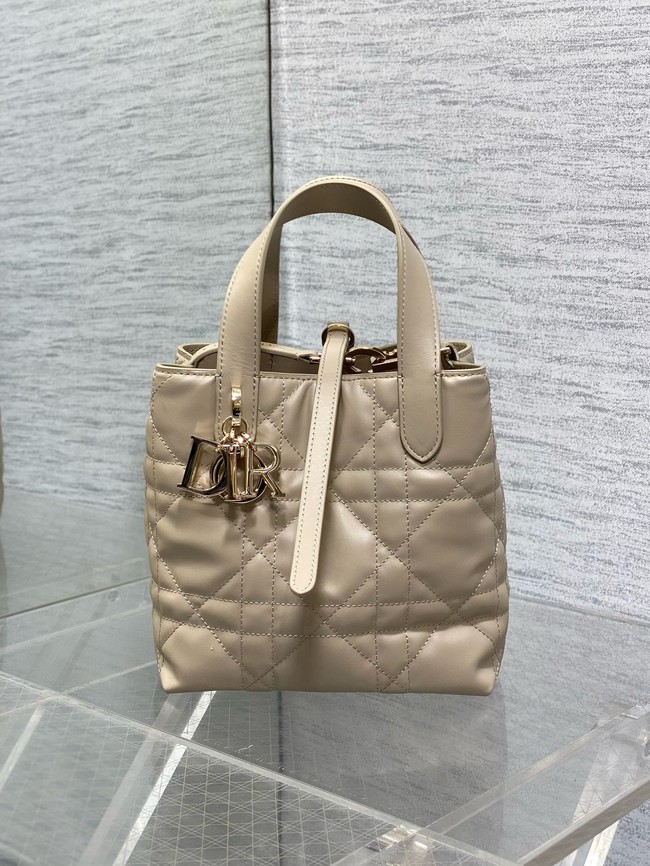 Dior Toujours Vertical Nano Tote Bag Macrocannage Calfskin S6100O beige