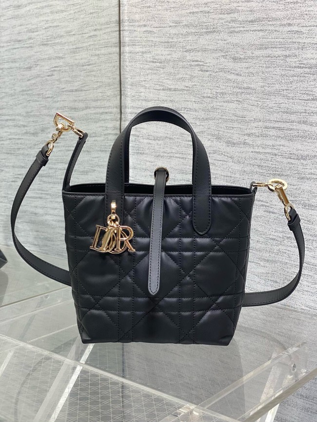 Dior Toujours Vertical Nano Tote Bag Macrocannage Calfskin S6100O black &gold