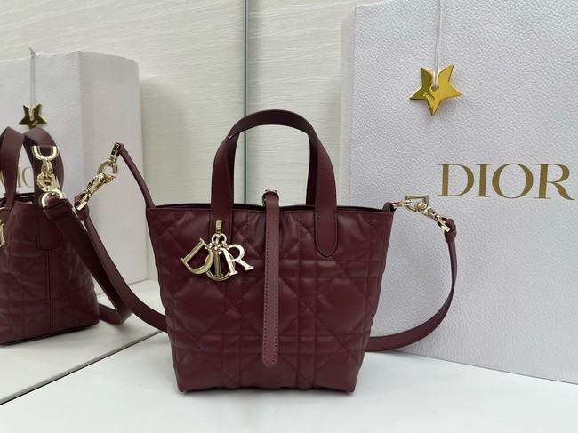 Dior Toujours Vertical Nano Tote Bag Macrocannage Calfskin S6100O burgundy