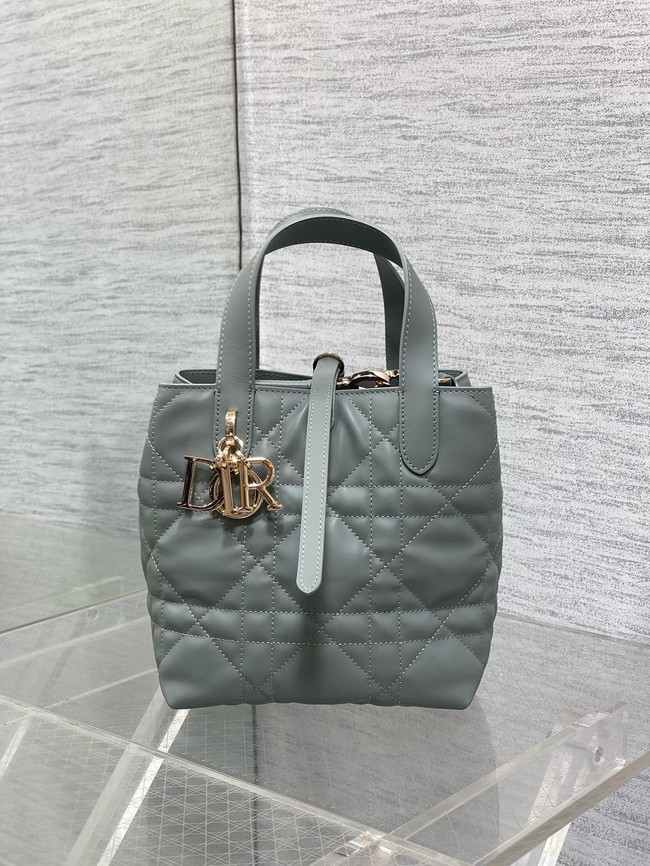 Dior Toujours Vertical Nano Tote Bag Macrocannage Calfskin S6100O gray