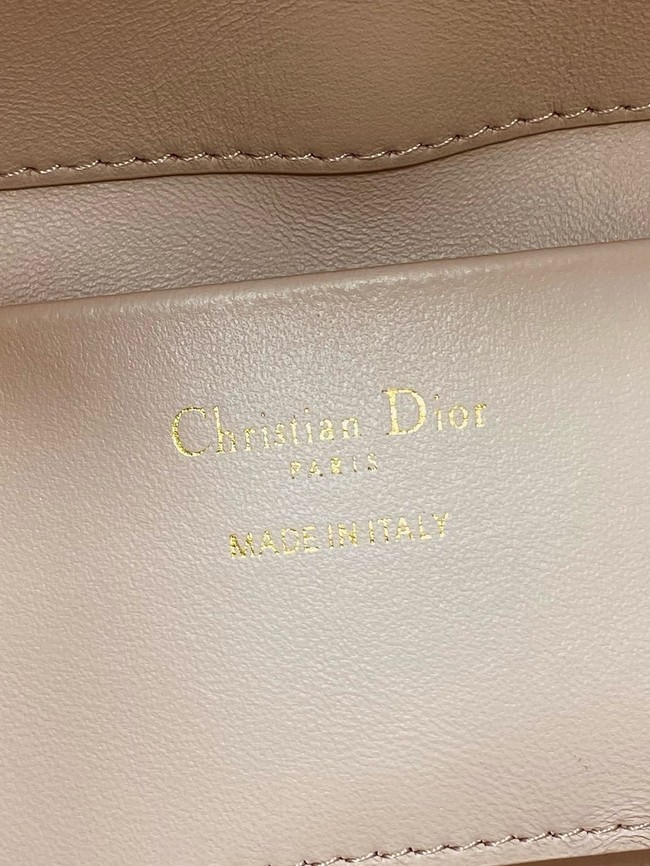 Dior Toujours Vertical Nano Tote Bag Macrocannage Calfskin S6100O pink