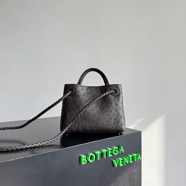 Bottega Veneta Mini Andiamo Sapele 805232 Fondant