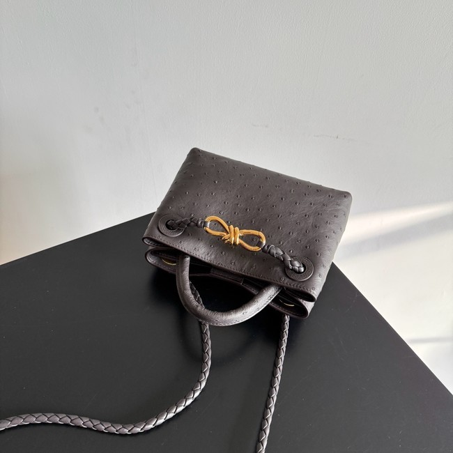 Bottega Veneta Mini Andiamo Sapele 805232 Fondant