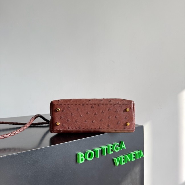 Bottega Veneta Mini Andiamo Sapele 805232 Sapele