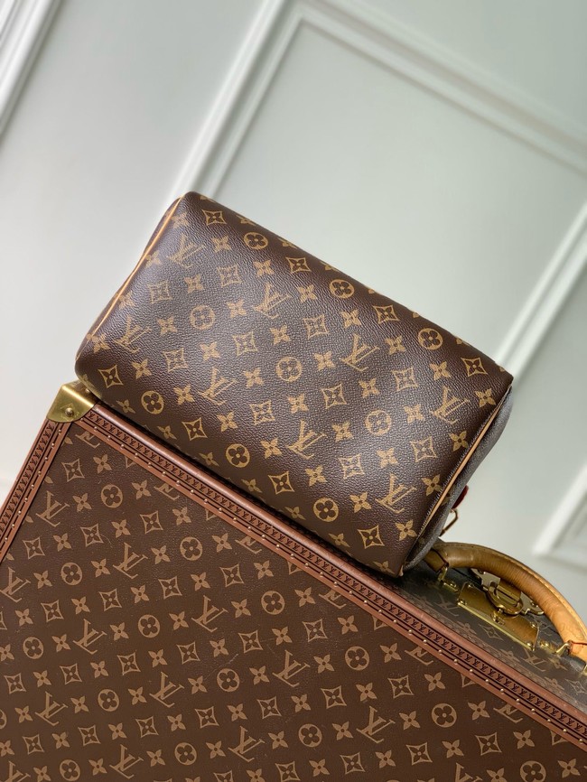Louis Vuitton Speedy Soft 30 Crafty M11945
